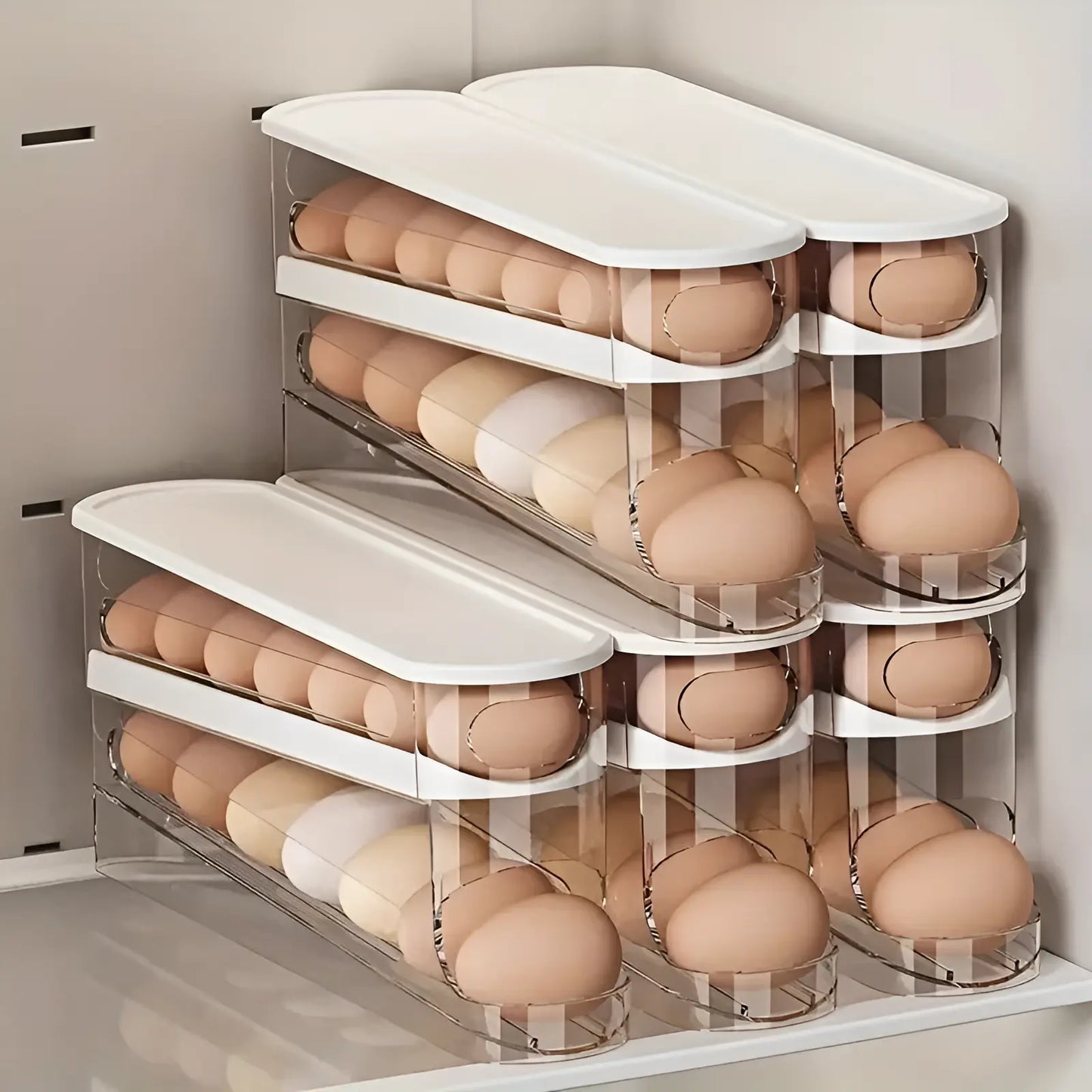 Egg Holder